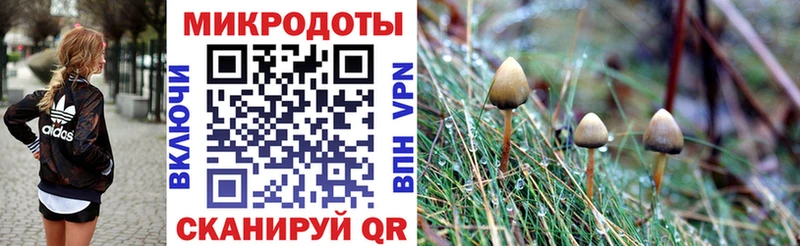 где купить наркоту Североморск Псилоцибиновые грибы мицелий